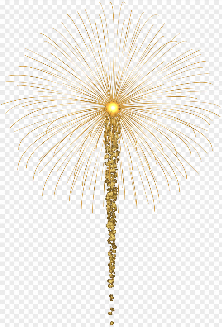 Gold Fireworks For Dark Images Clip Art Symmetry Yellow Petal Pattern PNG