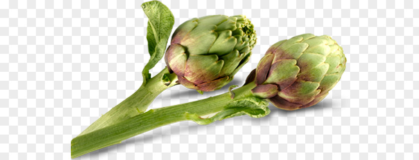 Vegetable Artichoke Carciofi Alla Romana Giudia Veggie Burger PNG