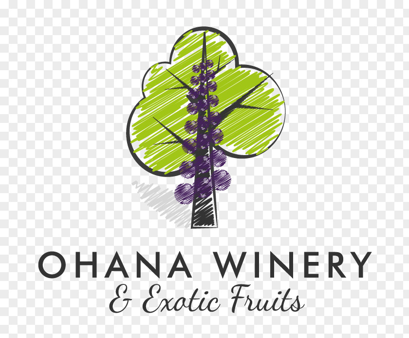 Wine Paragon Theatre Ohana Winery And Exotic Fruits Common Grape Vine PNG