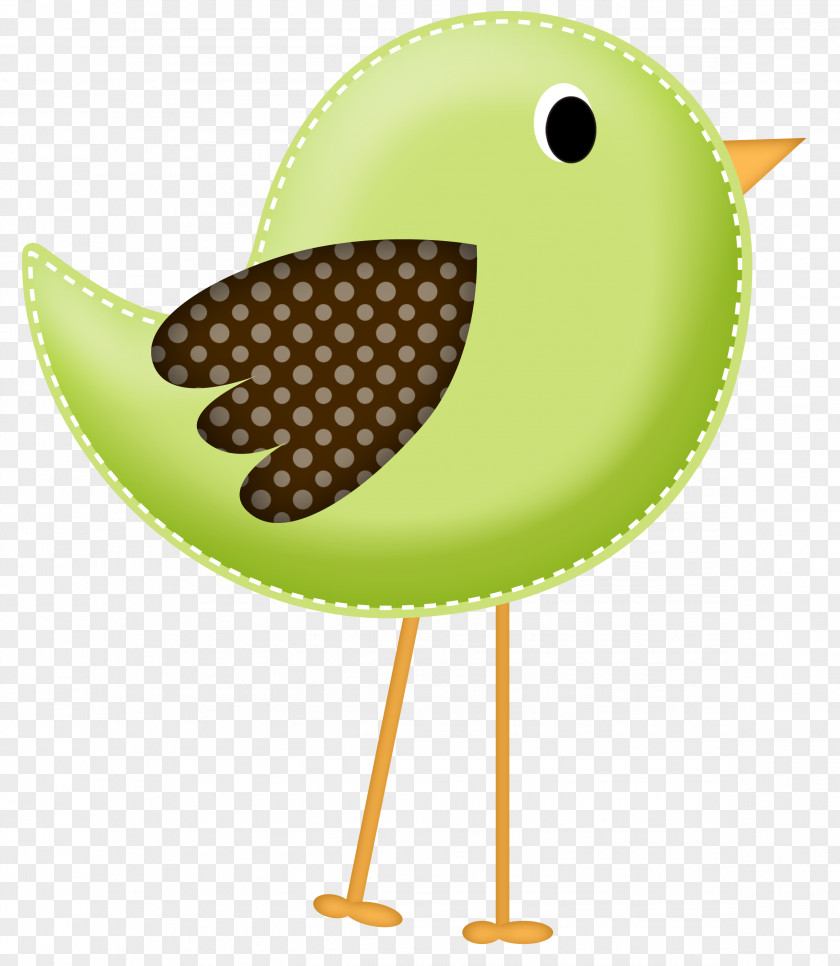 Cockatoo Bird Clip Art Image Drawing PNG