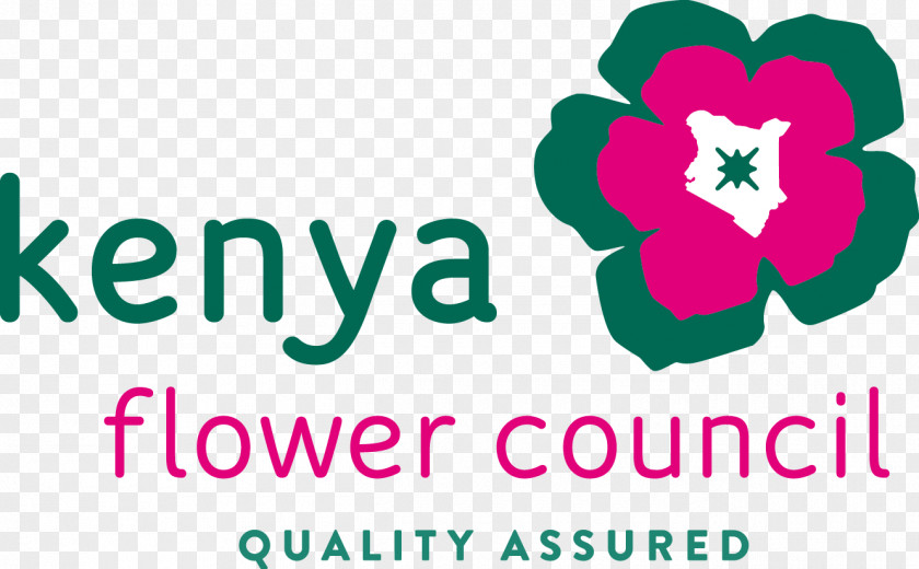 Flower Kenya Council Cut Flowers Oserian Rose PNG