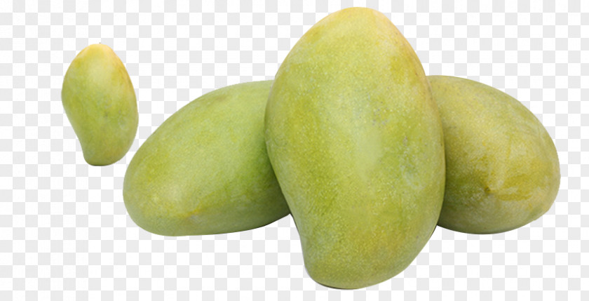 Green Mango Cyan Clip Art PNG