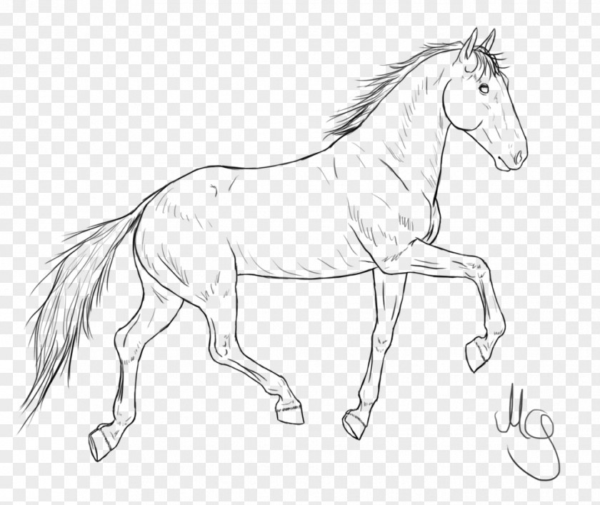 Mustang Mane Foal Bridle Stallion PNG