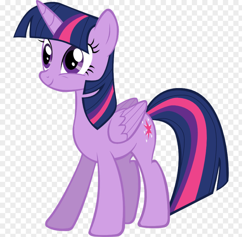My Little Pony Twilight Sparkle Rainbow Dash Princess Cadance Celestia PNG