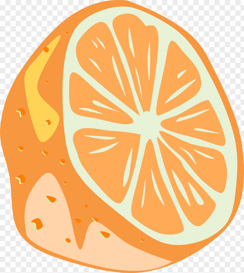Orange Lemon Lemon-lime Drink Key Lime Clip Art PNG