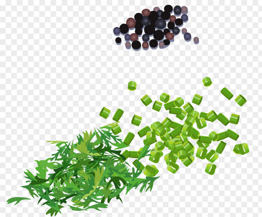 Parsley Chopped Green Onion Allium Fistulosum Scallion PNG