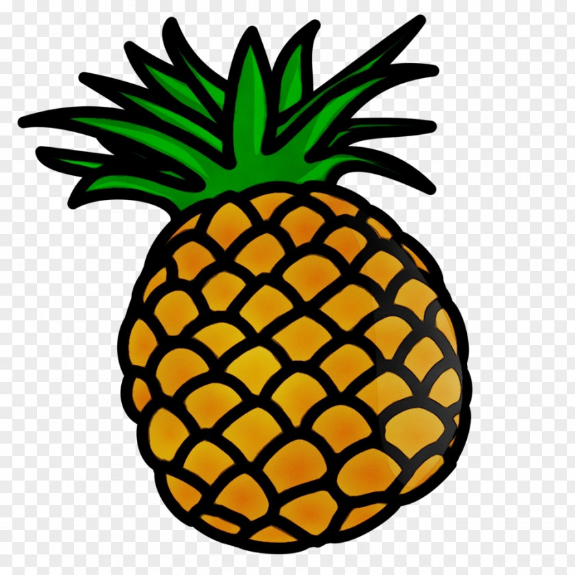 Poales Food Pineapple PNG