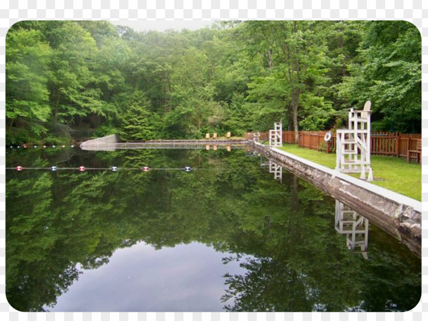 Pond ROCKS Highlands Natural Pool Hot Tub Swimming PNG