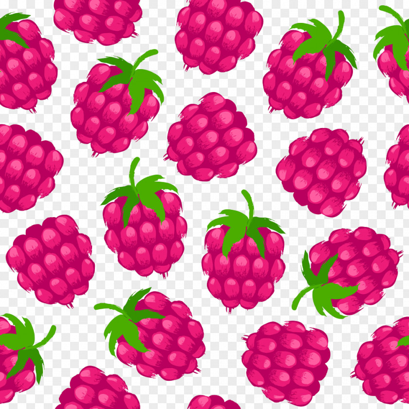 Raspberry Rose Boysenberry Frutti Di Bosco Fruit PNG