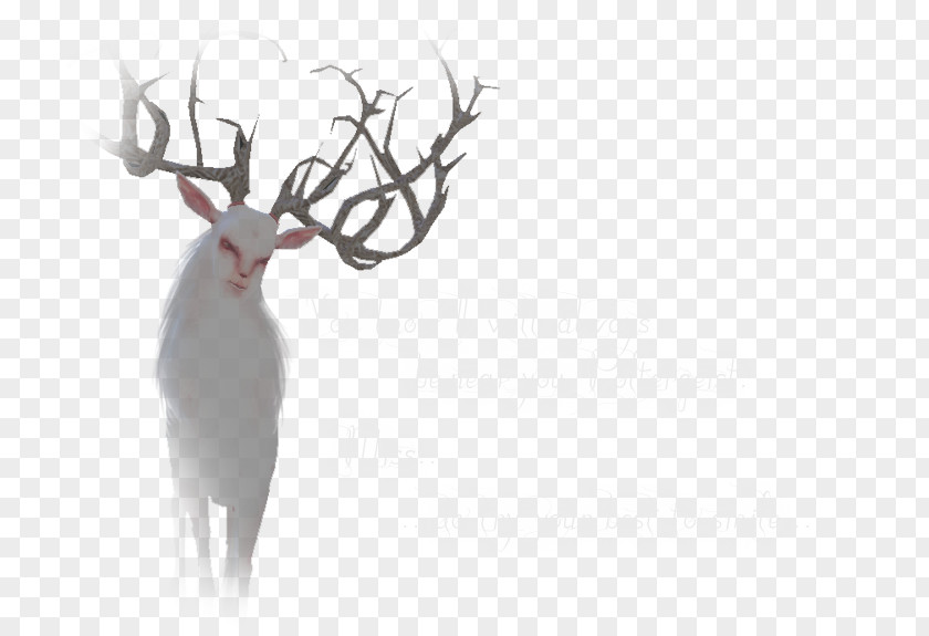 Reindeer Antler Wildlife Font PNG