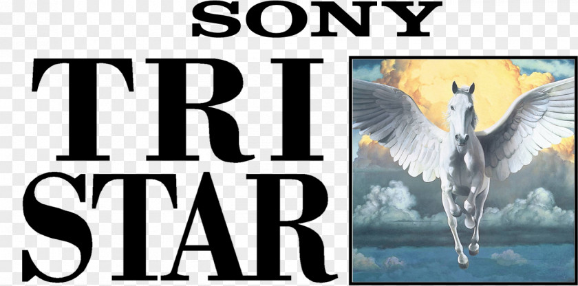 Sony TriStar Pictures Logo Columbia PNG