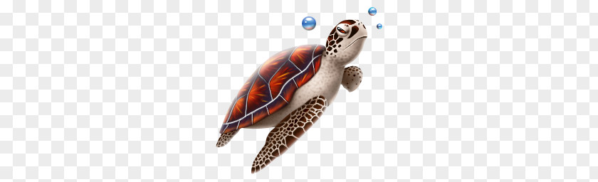 Turtle PNG clipart PNG
