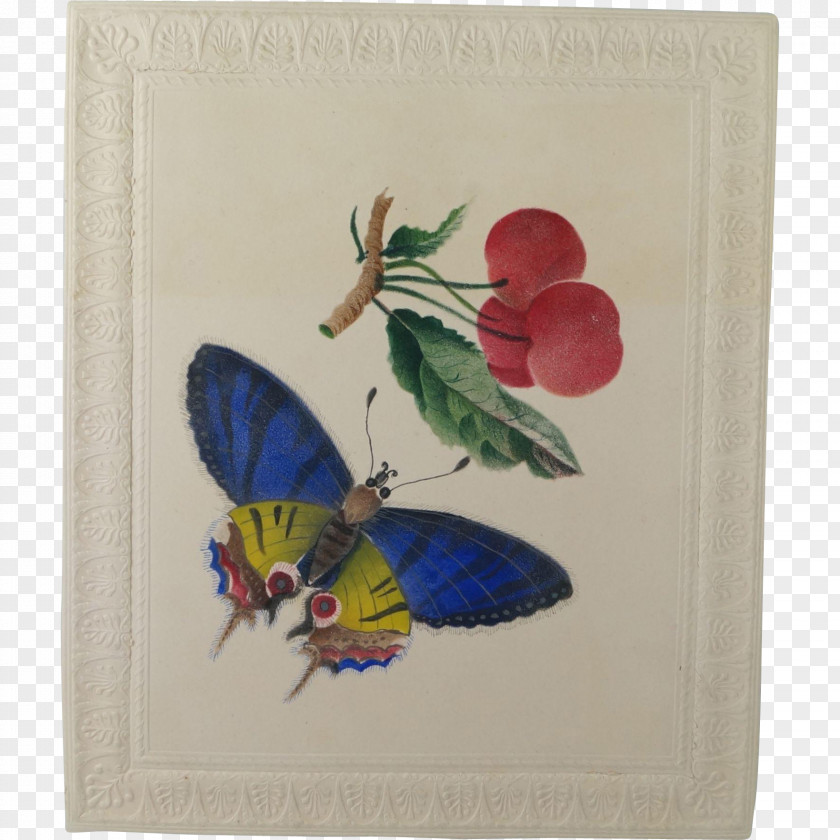 Watercolor Butterfly Insect M. Pollinator Fauna PNG