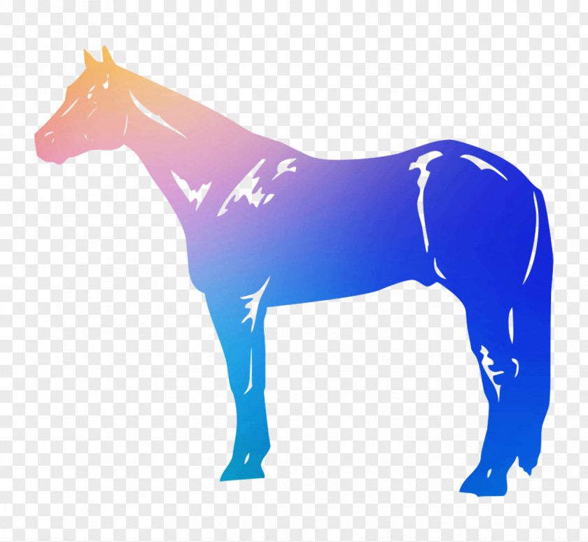 American Quarter Horse Appaloosa Clip Art Clydesdale Breed PNG