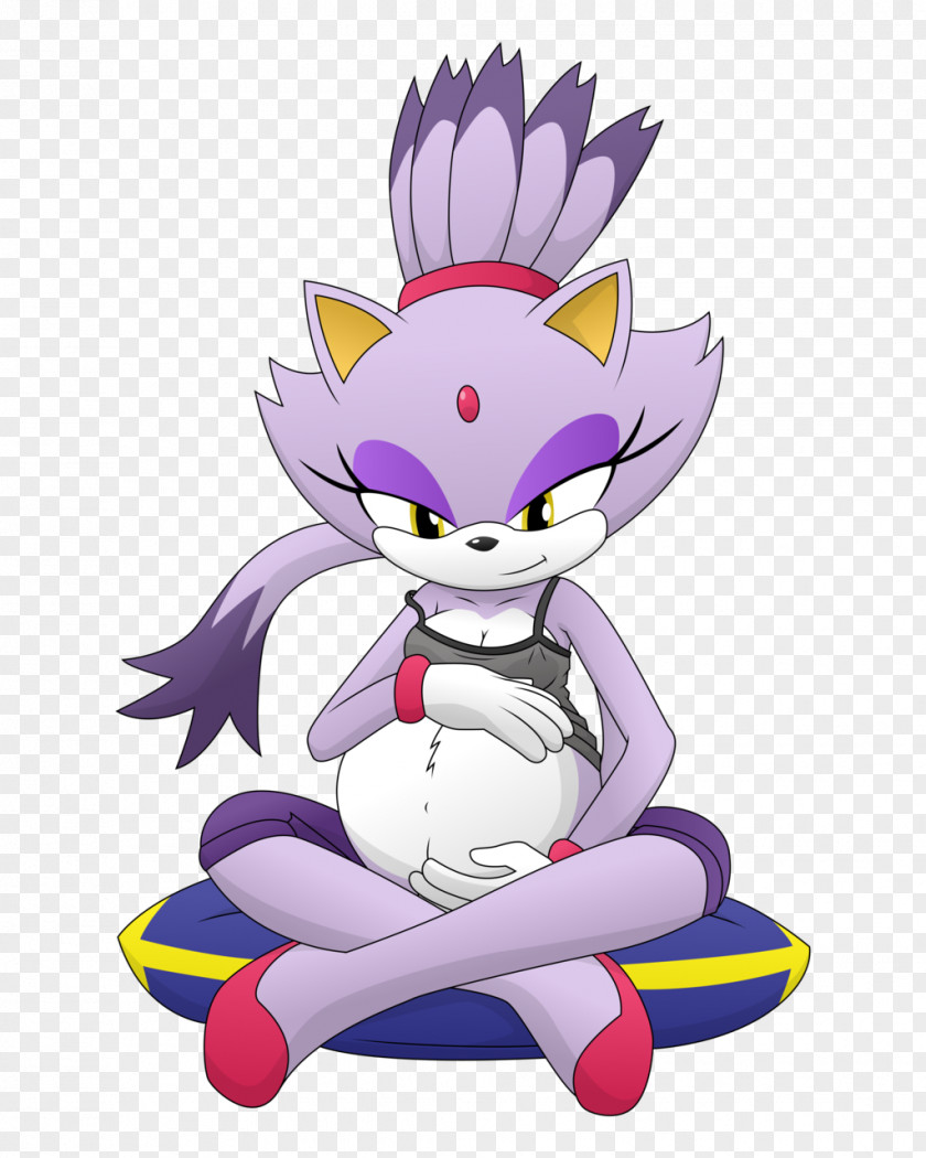 Blaze Sonic The Hedgehog Pregnancy Cat PNG