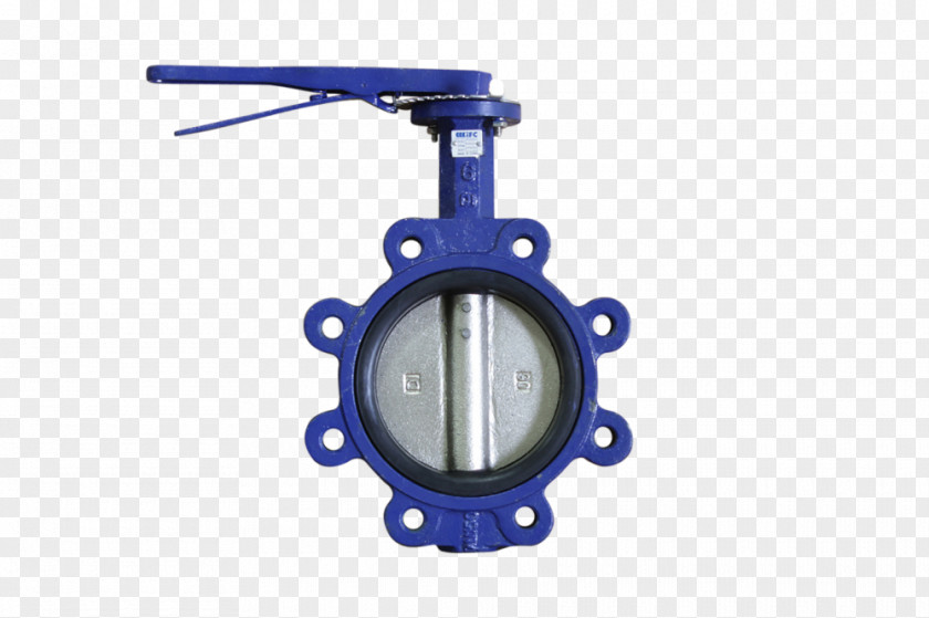 Butterfly Valve Flange Globe Check PNG