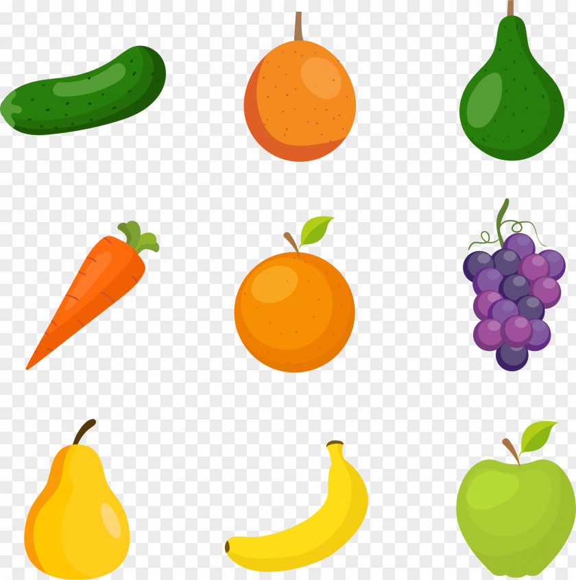 Colorful Fruit Vegetable Euclidean Vector PNG