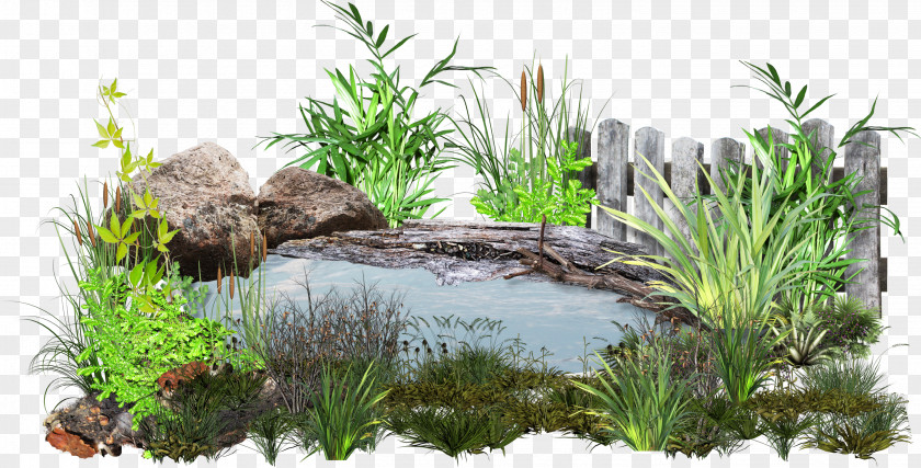 Lake Lawn Garden Landscape Design Clip Art PNG
