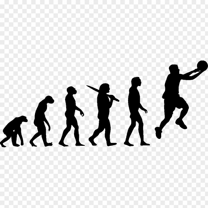 Moto Material T-shirt Human Evolution Homo Sapiens On The Origin Of Species PNG