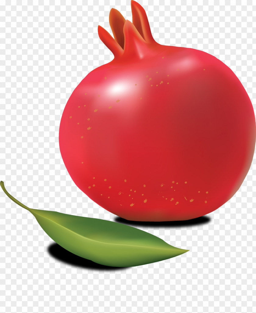 Pomegranate Juice Clip Art PNG