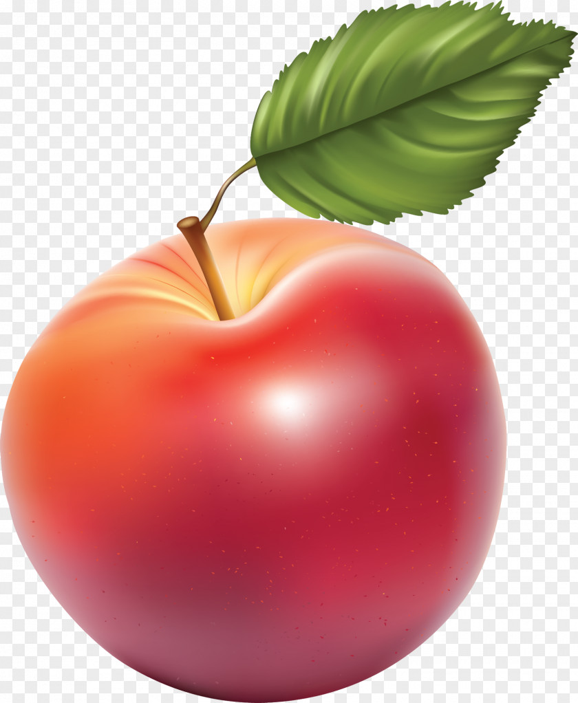 Apple Fruit Clip Art PNG