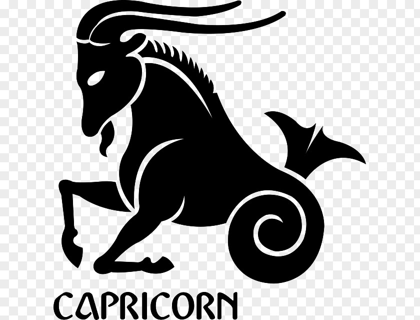 Capricorn Astrological Sign Zodiac Astrology Gemini PNG