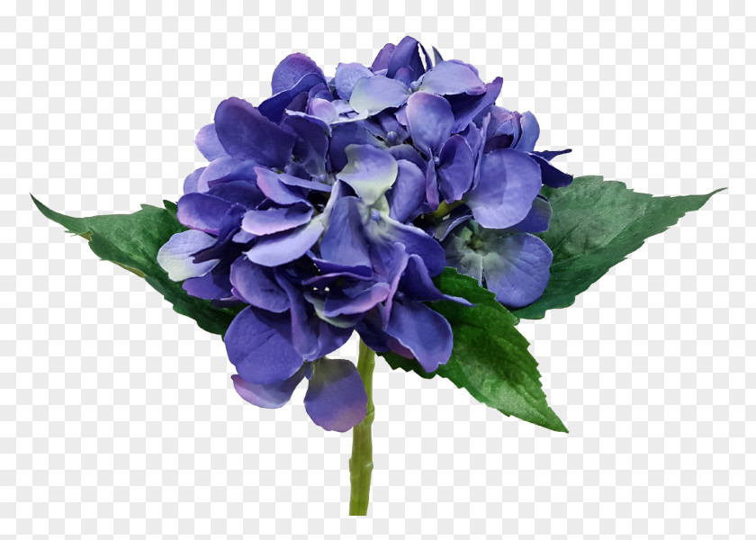 Flower Hydrangea Cut Flowers Bouquet Rose Family PNG