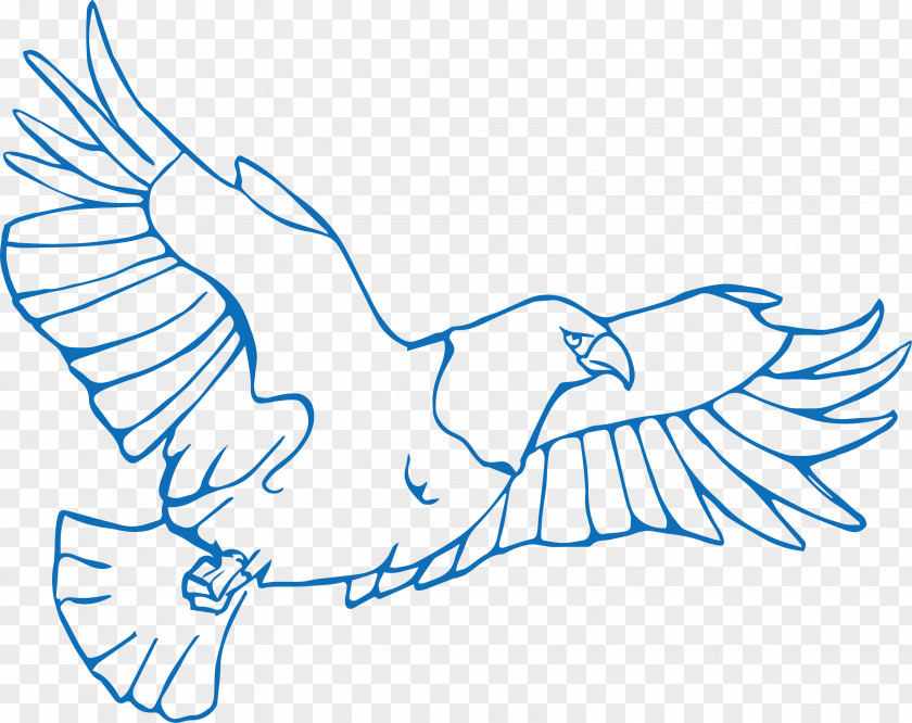 Hand-painted Flying Eagle Bird Drawing Illustration PNG