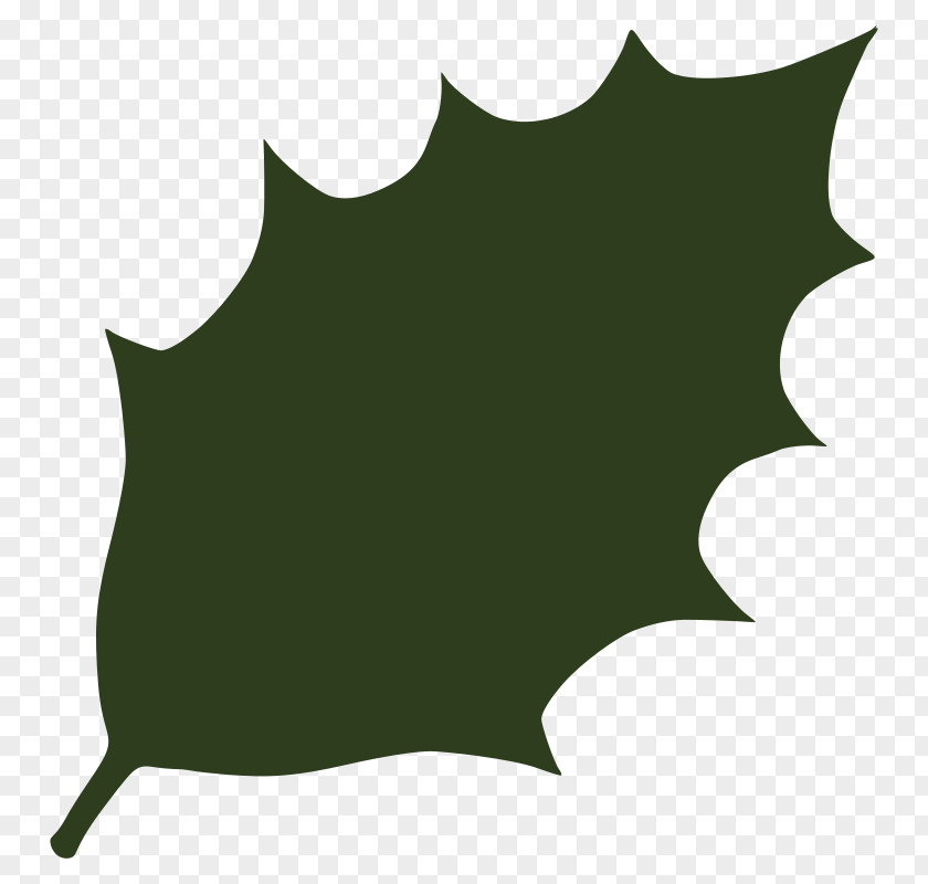 Leaf Green Clip Art PNG