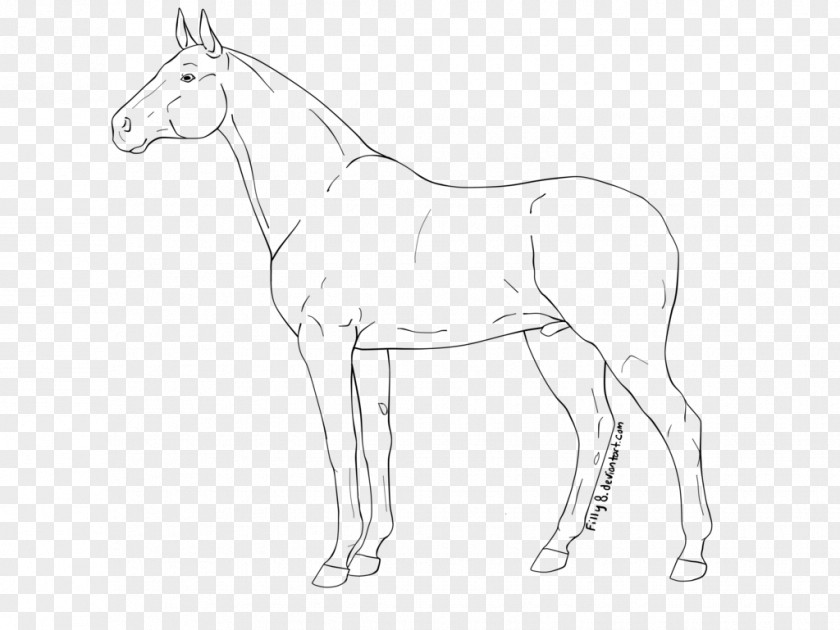 Line Art Stallion Mule Drawing PNG