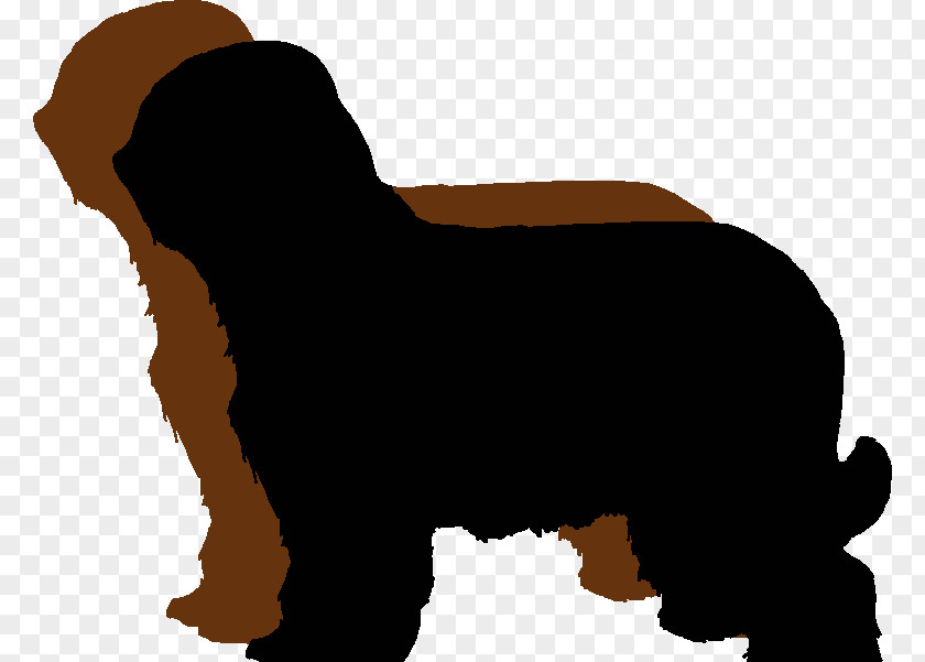 Puppy Dog Breed Briard Bearded Collie Bouvier Des Flandres Bernese Mountain PNG
