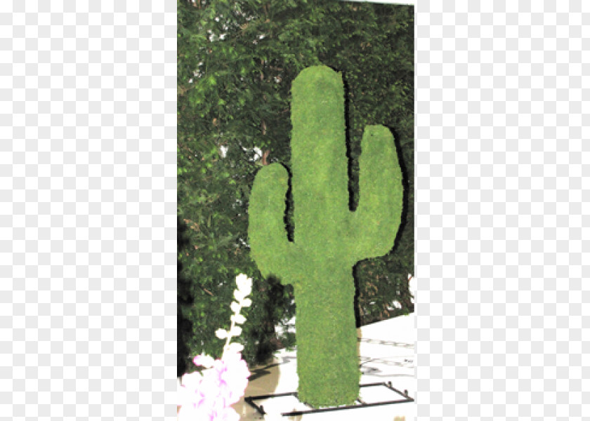 Cactus Border Wire Sculpture Ornament Garden Vase Gazebo PNG