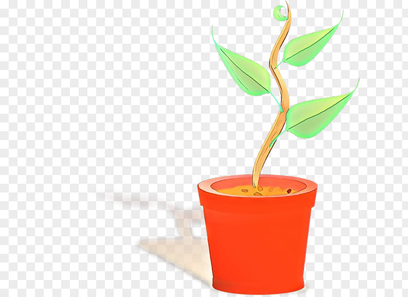 Cup Plant Stem Flowerpot Leaf Houseplant Flower PNG