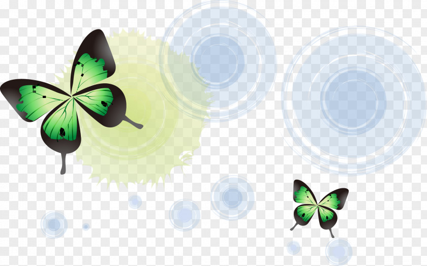 Halo Butterflies Vector Butterfly Light PNG