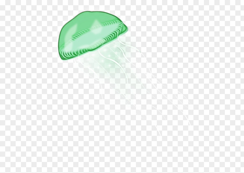Logo Headgear Green Cap PNG