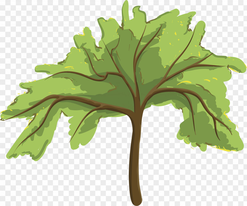 Plants Family Tree Child PNG