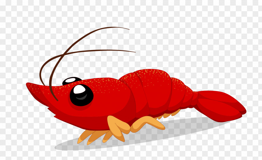 Vector Cartoon Lobster Material Crayfish Illustration PNG