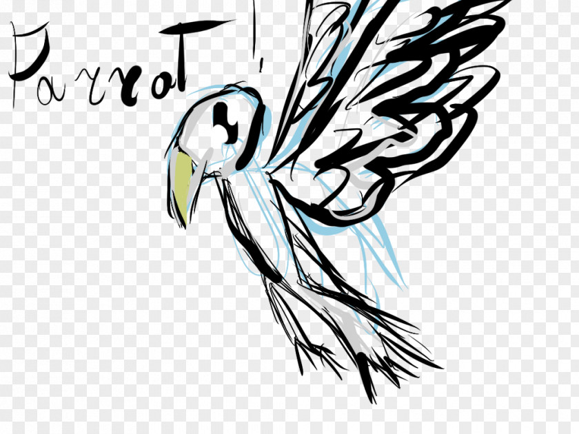 Macaw Bird Drawing Graphic Design PNG