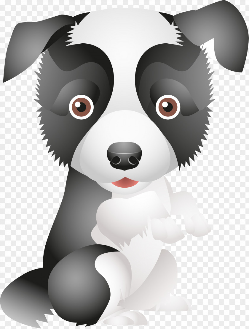 Puppy Dog Breed Border Collie Rough Standard Schnauzer PNG