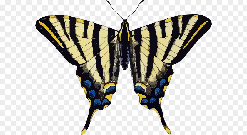 Swallowtail Butterfly Old World Scarce Vector Graphics Butterflies & Insects PNG
