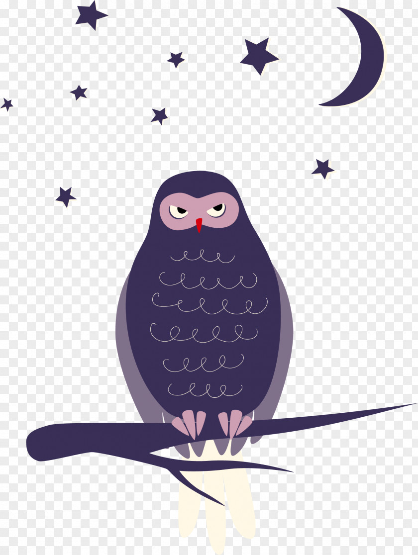 Vector Cute Little Parrot Illustration PNG