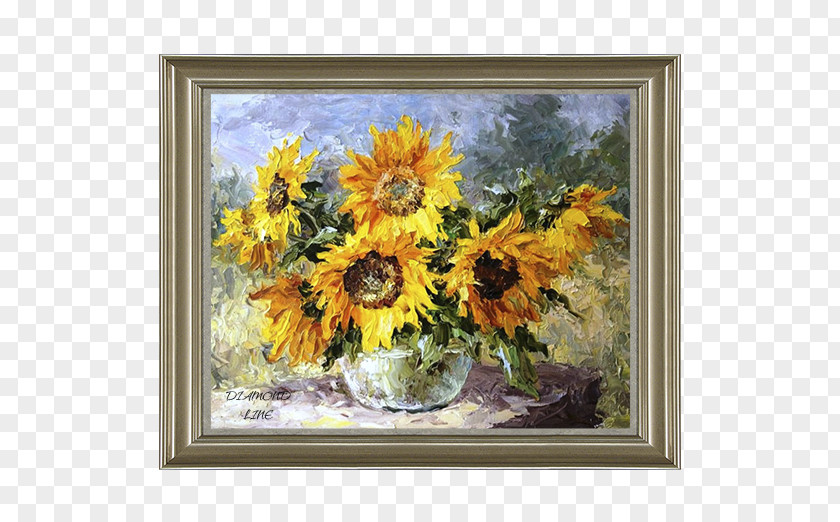 50 Diamond Common Sunflower Still Life Photography Seed PNG