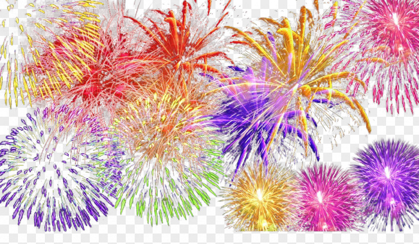 Color Fireworks Download PNG