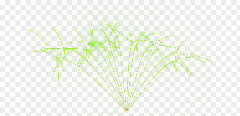 Fireworks Green Leaf Pattern PNG
