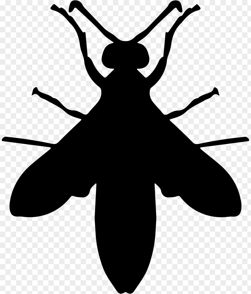 Insect Hornet Wasp Bee PNG