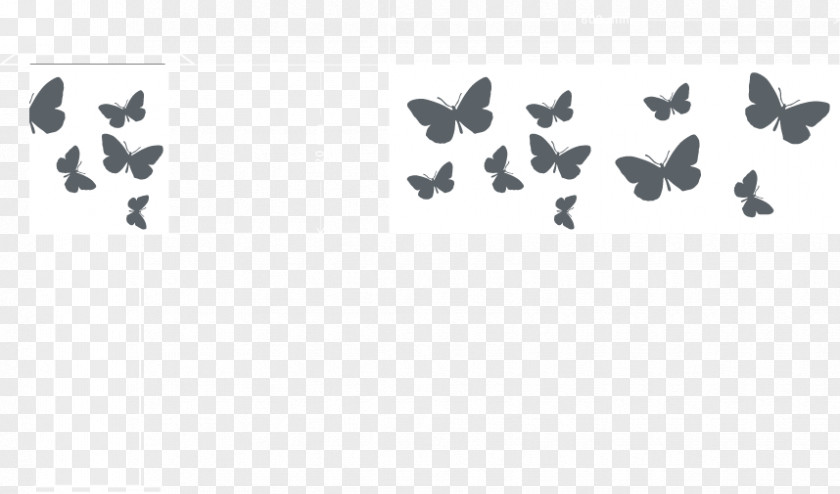 Line Pollinator White Font PNG