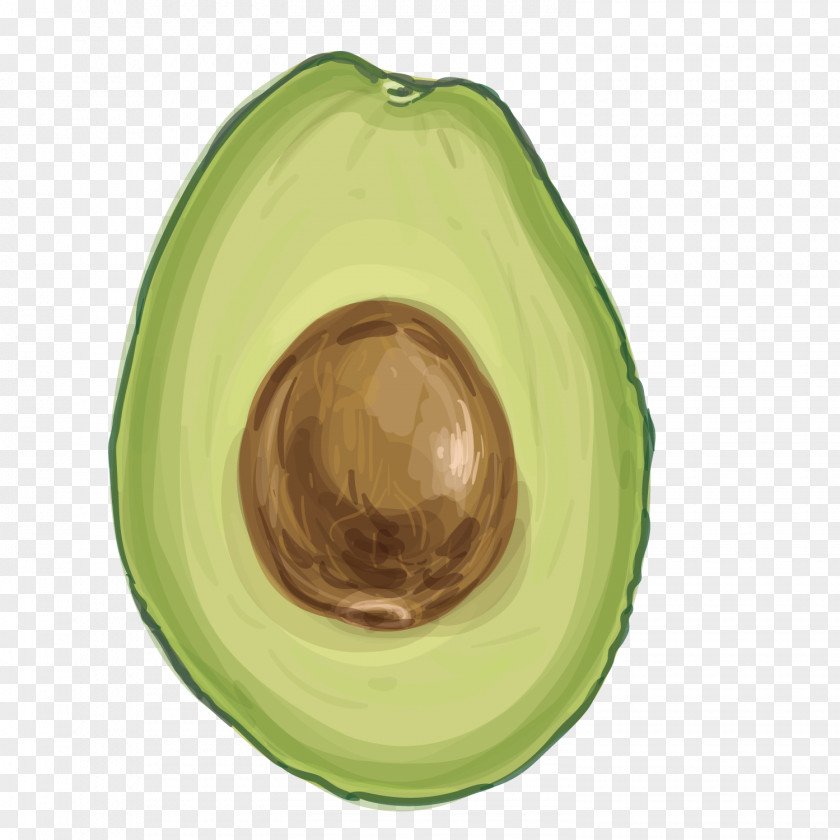 Vector Avocado Food PNG