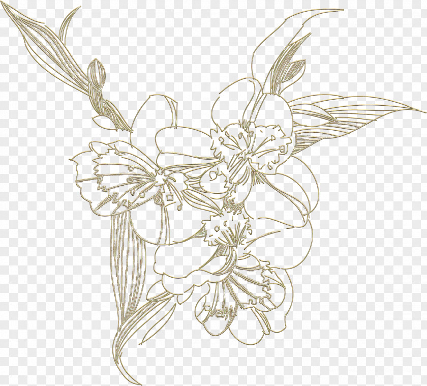Wing Line Art Plant Pollinator Moths And Butterflies PNG