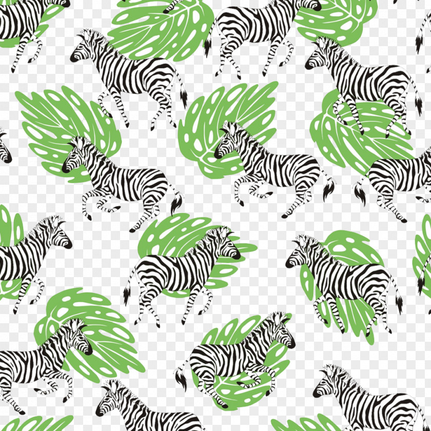 Zebra Wallpaper PNG