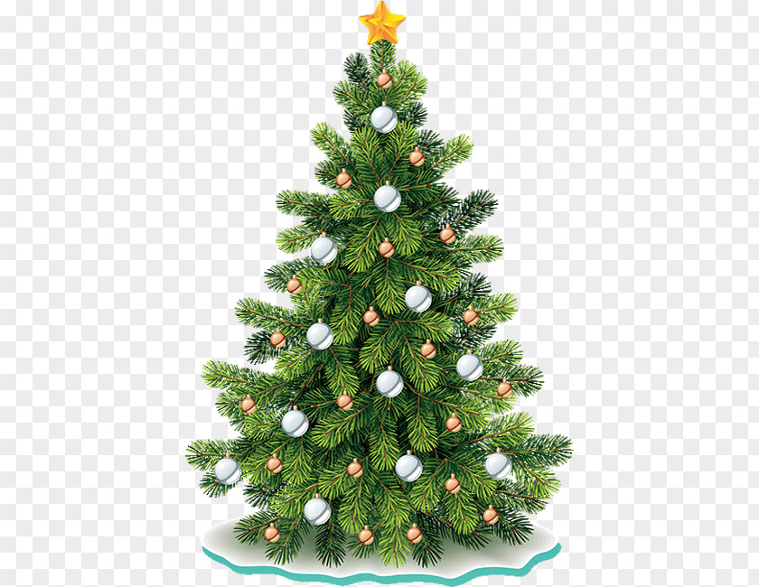 Christmas Tree Noble Fir Clip Art PNG